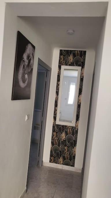 Appartement Chaleureux, Proche De La Gare Perpinhã Exterior foto
